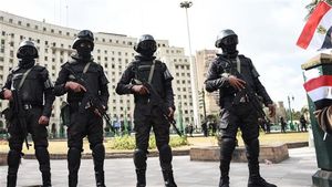  کشته شدن 2پلیس مصری در انفجار سینا