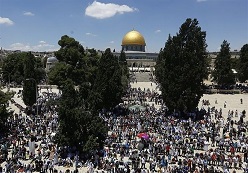 حضور فلسطینیان در مسجدالاقصی 