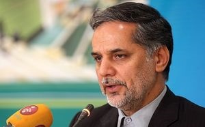  نقوی‌حسینی: عراق درخواست کمک کند، کمک می‌کنیم