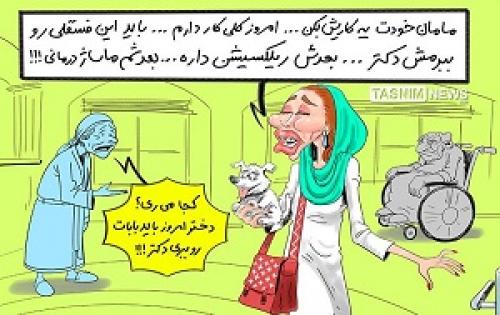 کاریکاتور/ آگهی عجیب برای ماساژ حیوانات خانگی