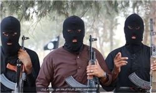  هلاکت 100 داعشی طی عملیات نُجَباء 