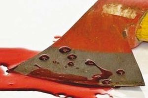  قتل پدر و پسر با تبر
