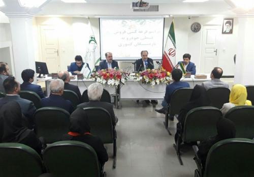 ۱۰۰۰ بازنشسته خودروی قسطی می‌گیرند 
