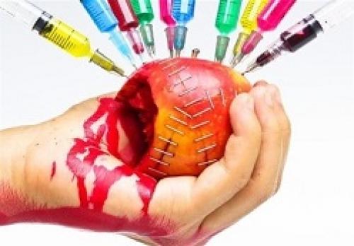 تکلیف کمیسیون مجلس به ۲ وزارتخانه