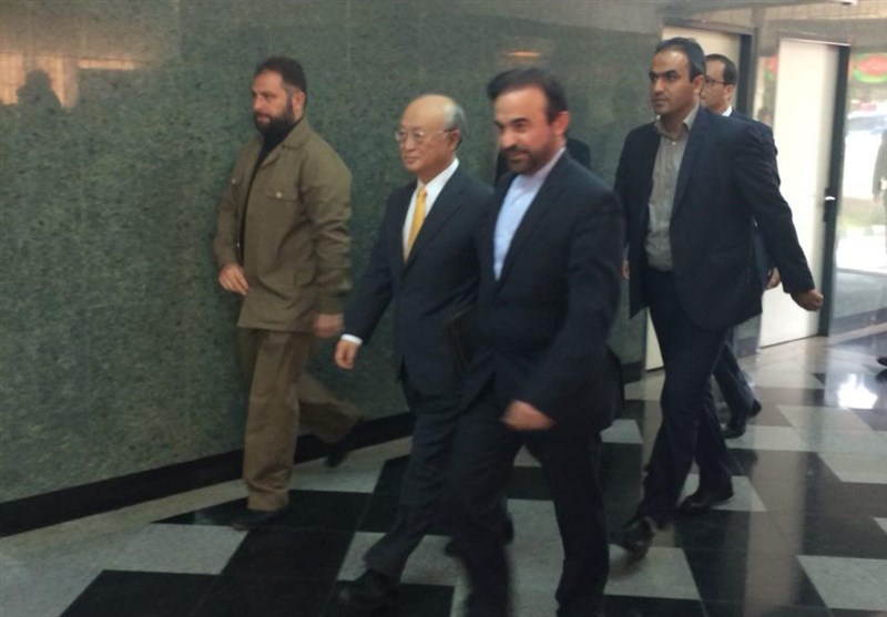 دیدارآمانوبا رئیس سازمان انرژی اتمی ایران