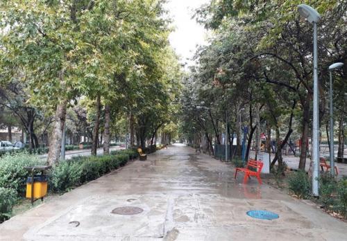  کاهش نسبی دمای هوا در نوار شمالی کشور 