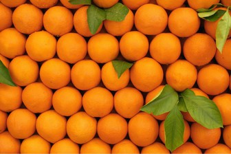 ماجرای پرتقال های رنگ شده