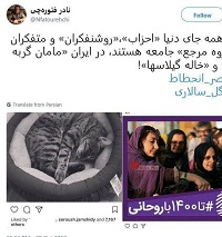  کنایه نادر فتوره چی به گربه هانیه توسلی