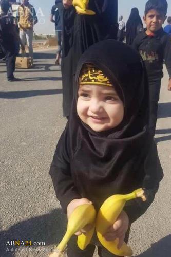  تمام دارائی دختر بچه عراقی برای زائران اربعین