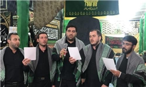فیلم/ اجرای گروه تواشیح «طارق» در کربلا
