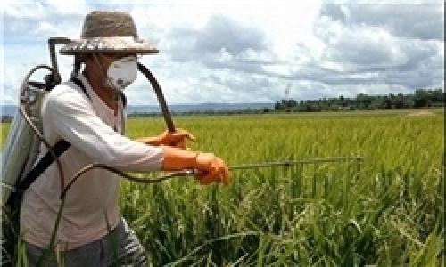 خاک خاورمیانه منشا‌ء توسعه پایدار جهان 