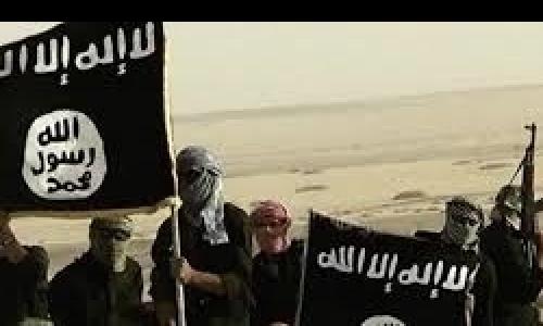 اتحاد داعش و القاعده در دیالی