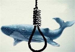 قربانی نهنگ آبی در الجزایر