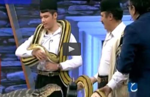  فیلم/ حضور مارها در برنامه زنده حالا خورشید