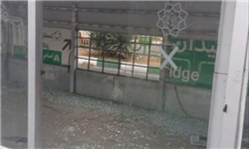 محل اسکان گربه های تهران