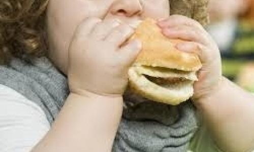  ترک تحصیل یک‌پنجم دبستانی‌های چاق