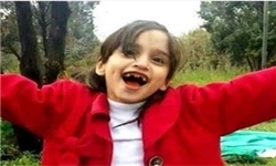 قاتل ستایش اعدام شد