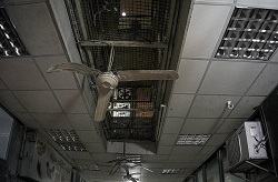 عکس/فرسوده ترین محله‌های تهران 