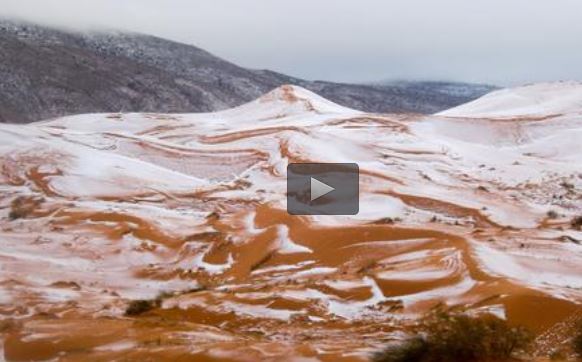  فیلم/ بارش برف در صحرا