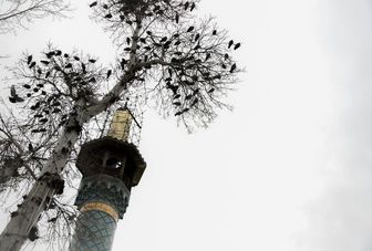 سرقت کثیف از بقعه امامزاده عبدالله