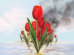 مجموعه پوستر   آسمانی شدن سرنشینان نفتکش