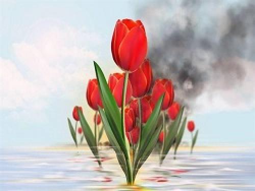 مجموعه پوستر   آسمانی شدن سرنشینان نفتکش