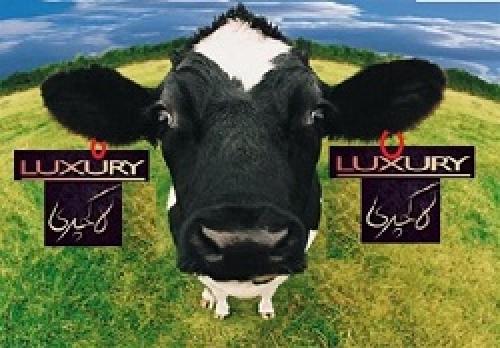 تناقض‌گویی تعزیرات به عرضه گوشت‌های لاکچری