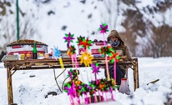 عکس/تصاویرزیبا از یک روز برفی درهمدان