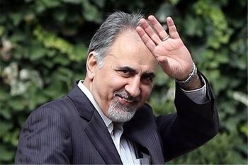 جوانان با تکاندن برف درختان ورزش کنند/ مشکلی نداشتیم جز تردد و رفت و آمد