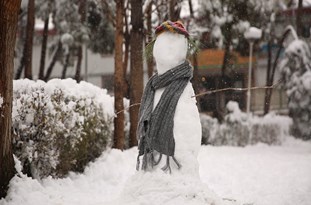 فیلم/لذت بردن از برف بازی در زیباترین روز سال