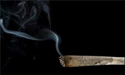 عوارض دخانیات روی سیاه پوستان 