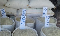  ارائه روغن ۵ تا ۱۰ درصد زیر قیمت بازار