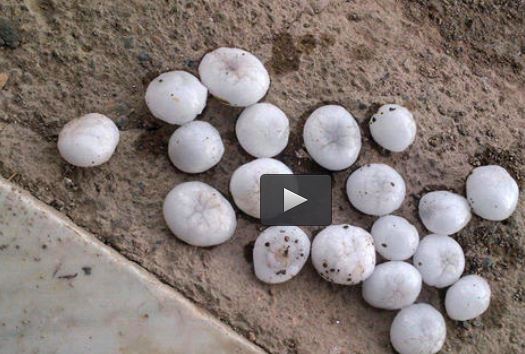  فیلم/ بارش تگرگ غول پیکر در شهر مدینه