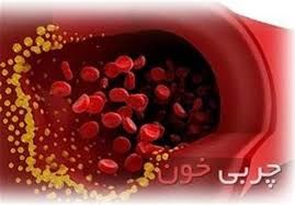  ۶ کاری که چربی خون را بالا می‌برند
