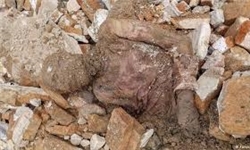  جزئیات جدید از ماجرای کشف مومیایی در شهر ری/ ابهام در مورد انتساب جسد به رضاخان ادامه دارد
