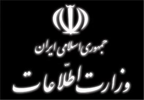 واکنش وزارت اطلاعات به گزارش مجلس درباره دوتابعیتی‌ها 