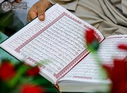 عکس/ جزء خوانی قرآن کریم در حرم حضرت علی(ع)