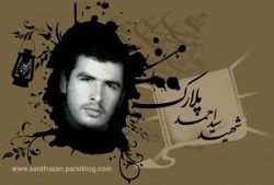 زندگینامه شهید سید احمد پلارک