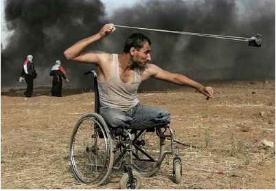 حمایت نوید محمدزاده از ملت فلسطین