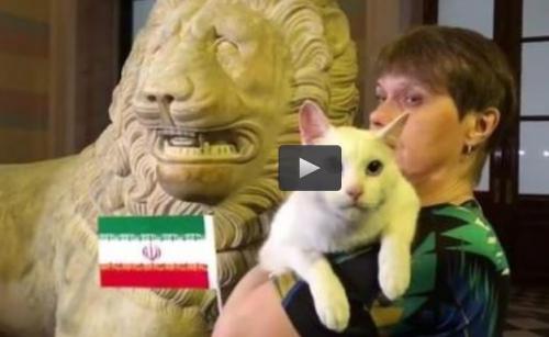  فیلم/ پیشگویی گربه معروف از برد ایران در جام جهانی 2018