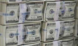 کدام خانواده بیشترین ارز دولتی را گرفت+ جدول