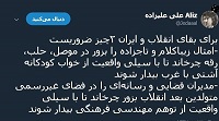 امثال زیباکلام و تاجزاده را باید در موصل و حلب چرخاند!