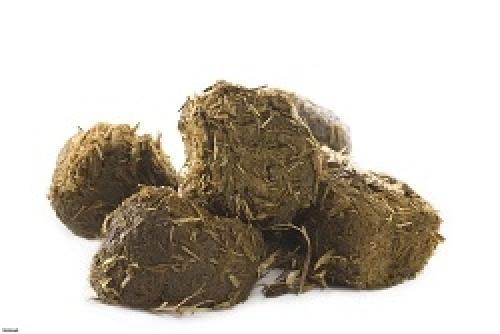 اثرات ضدمیکروبی «عنبر نسارا»