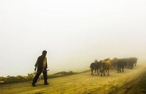 عکس/ شهری بالای ابرها 